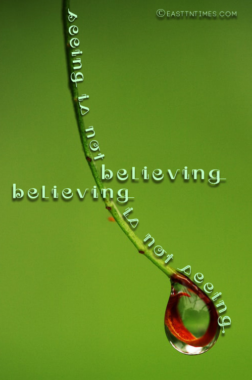 Dr. Gwen Ford's Quote of the Week - Seeing is not believing. … Believing is not seeing.